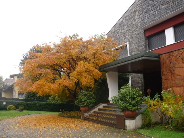 autunno2010012.jpg