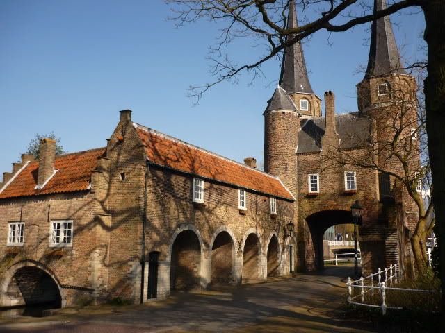 Delft2011046.jpg