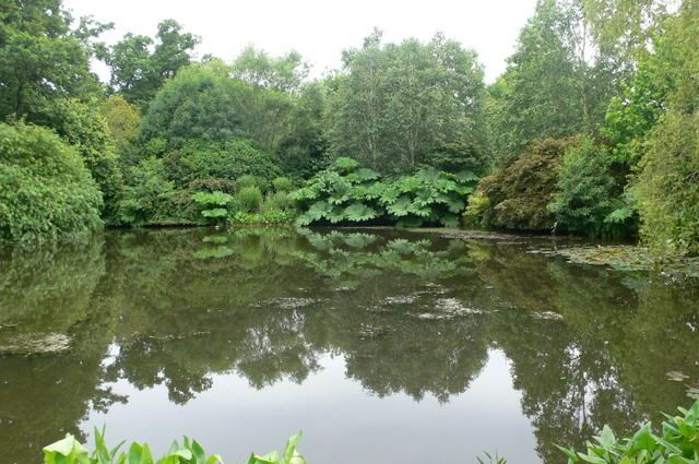 laghetto-Rosemoor.jpg