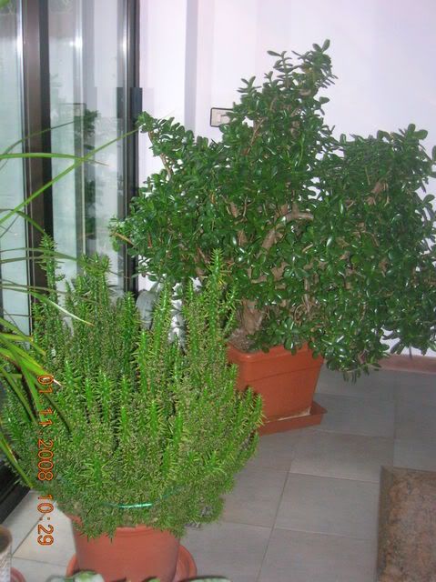 261208_catalogare095.jpg