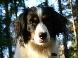 IMAGE: http://i238.photobucket.com/albums/ff237/joziela/P1080911.jpg