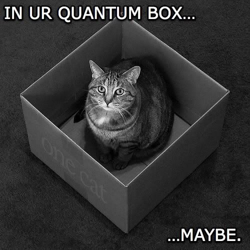 Quantum cat photo: Quantum 1198924026901.jpg