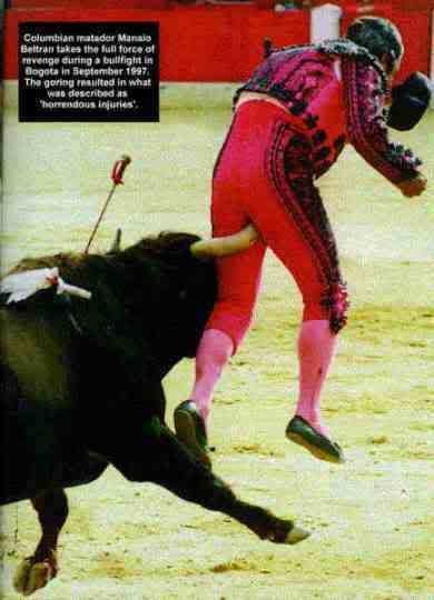 sport012.jpg
