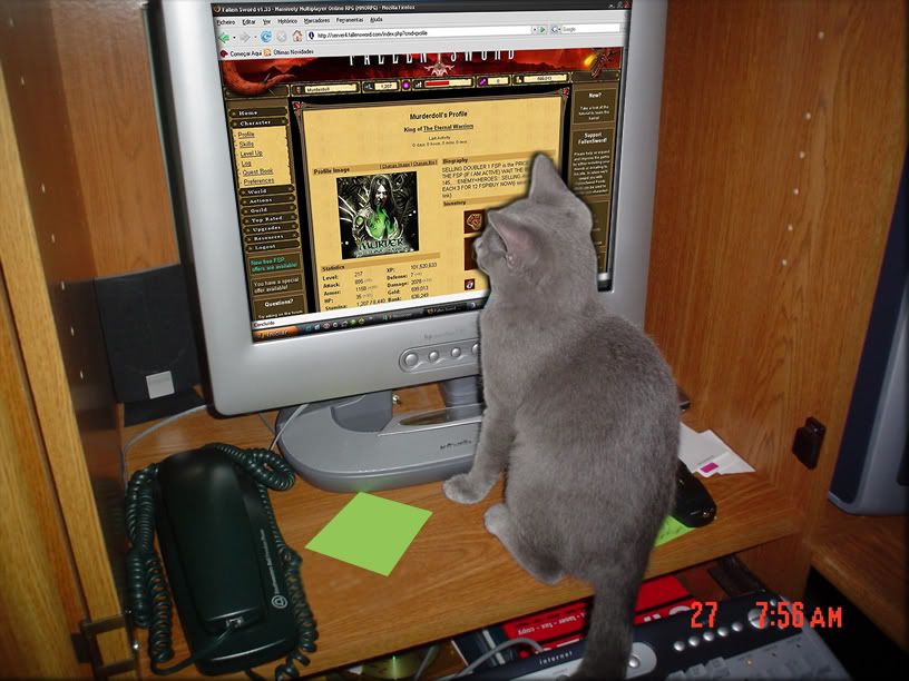funny cat like computer
