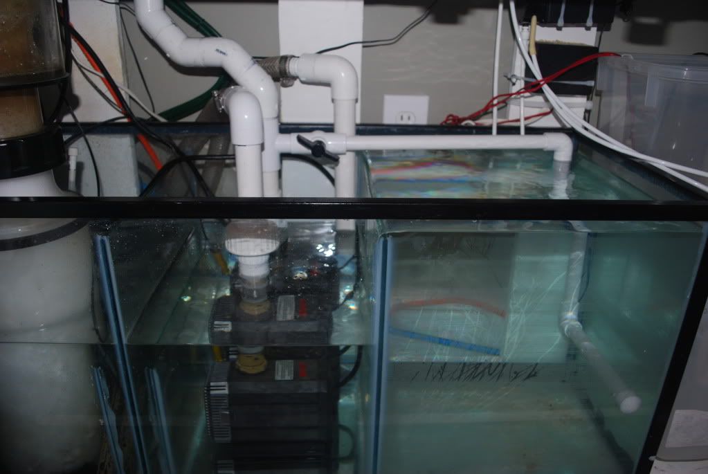 Diy Sump Using Tempered Glass? - Reef Central Online Community