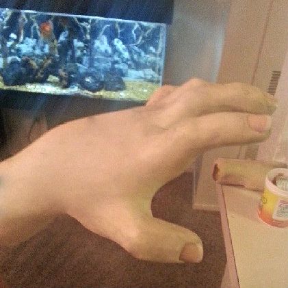 lefthand1_zpsddede8a9-1_zps9dc5730b.jpg