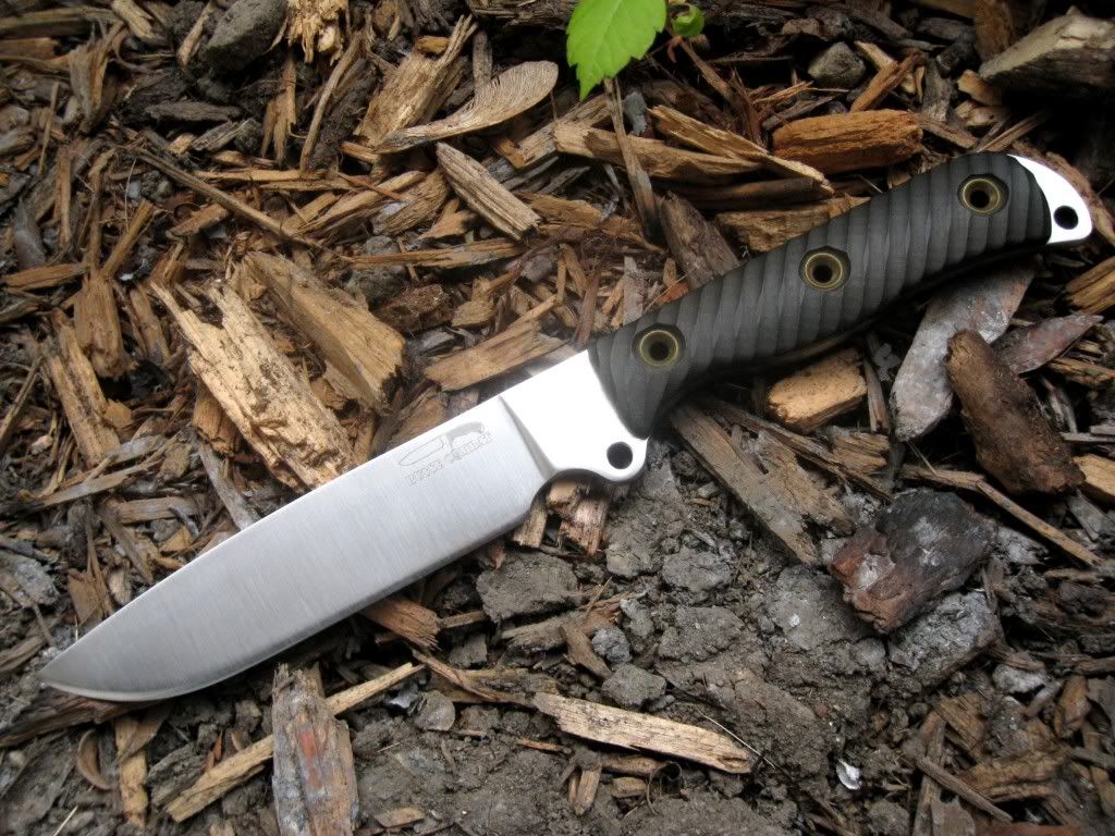 [Linked Image from i238.photobucket.com]