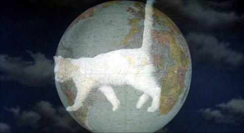 photo world_of_cat.jpg