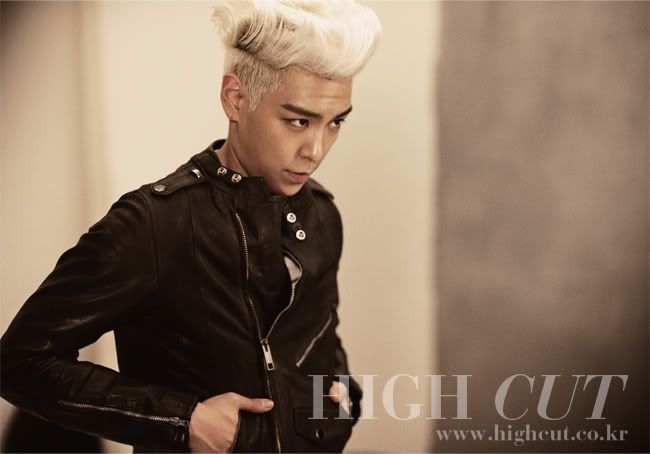 TOPHighCut1.jpg 