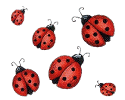 coccinellefloat.gif picture by ALONDRAAC
