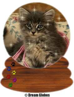 51.gif picture by ALONDRAAC