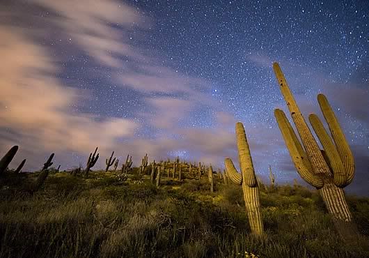 untitled-3.jpg picture by ALONDRAAC