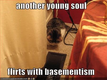 cat puns photo: YOUNG CAT BASEMENTCATCURIOUS.jpg