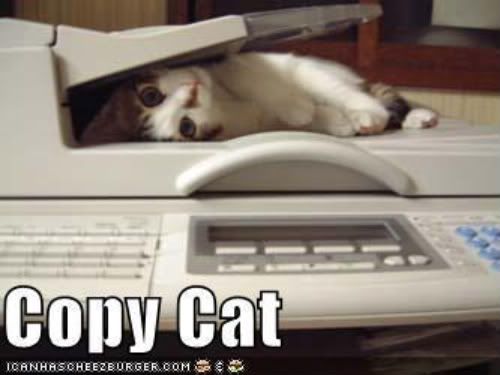 copy cat photo:  copycat.jpg