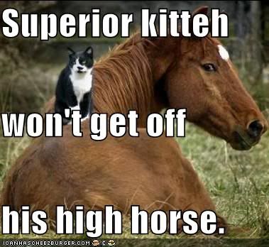 http://i238.photobucket.com/albums/ff298/palakea/Cat/funny-pictures-superior-cat-on-hors.jpg