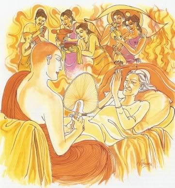 DS120.jpg picture by tuvienhophap