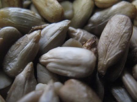 sunflower-seeds