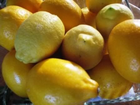 Lemons_reg_Meyer