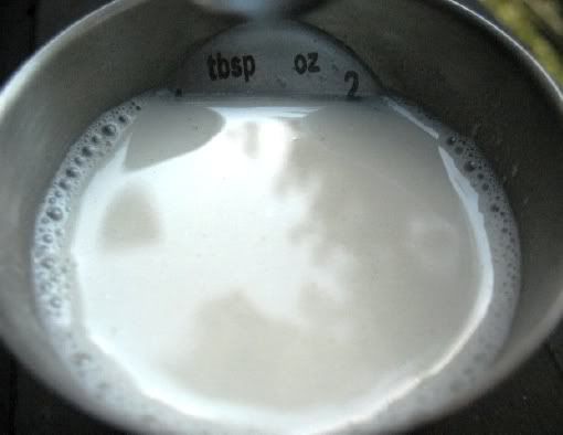 nutmilk_quarter-cup