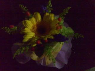 a sunflower from my sister(: