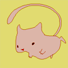Icon 019