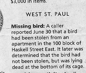 really-funny-police-stories-bird-missing-dead.jpg