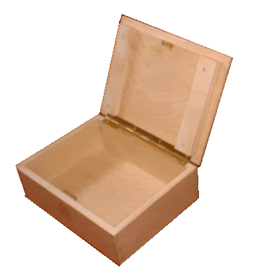 Box2copy.gif 30cm x 22.5cm x 10cm image by thegiftcreator