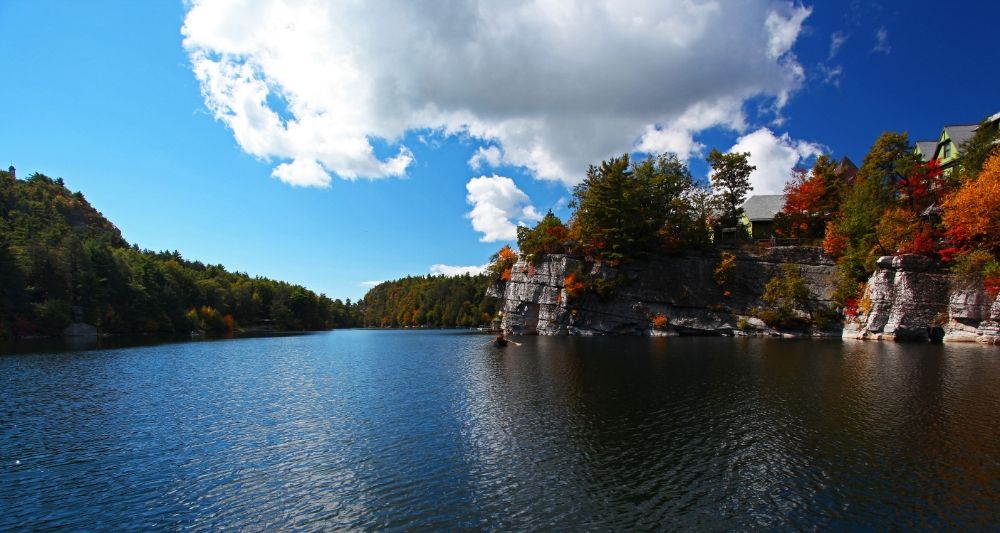 IMAGE: http://i238.photobucket.com/albums/ff50/Wheaten59/f85b8df3-146d-4844-af7a-9eca08a7d365_zps02e90291.jpg