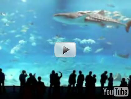 The largest Fish Aquarium In the World....Click here now!!