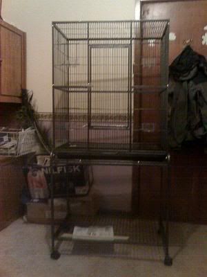 mybirdcage.jpg
