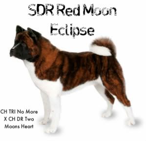 SDR Red Moon Eclipse