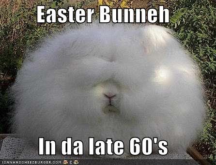 happy easter funny pictures. happy easter funny. happy