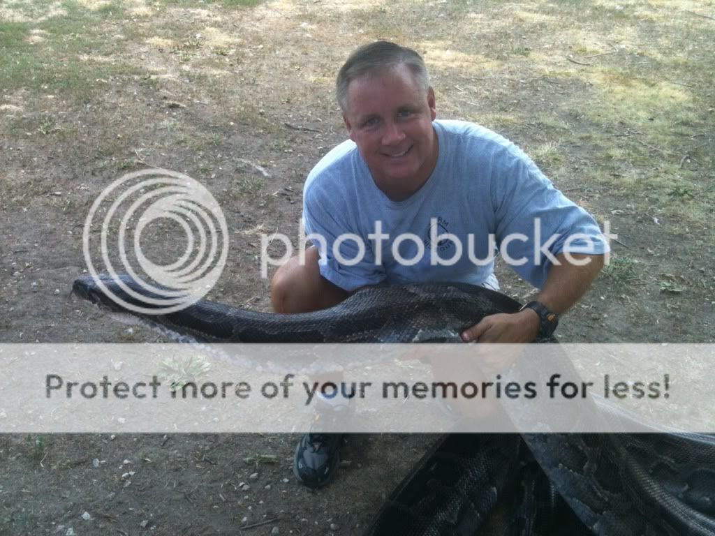 17 foot python killed at Florida picnic area - AR15.COM