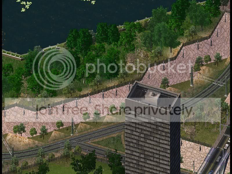 243.jpg