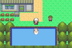 [PokeCommunity.com] Pokemon Sinnoh legacy