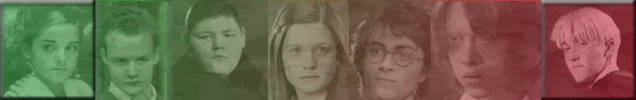 HARRY POTTER EXPERT GUILD!! banner