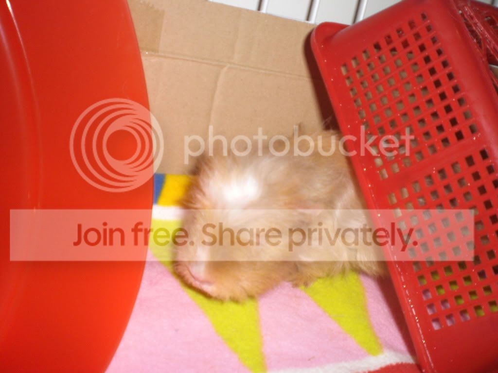 CIMG2767.jpg