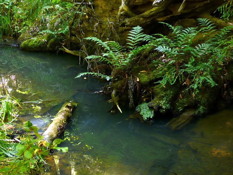 bigbasin_river
