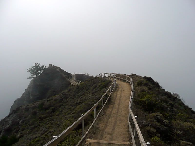 muir