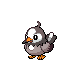 Starly.gif