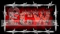 THW-Total Hardcore Championship wrestling banner