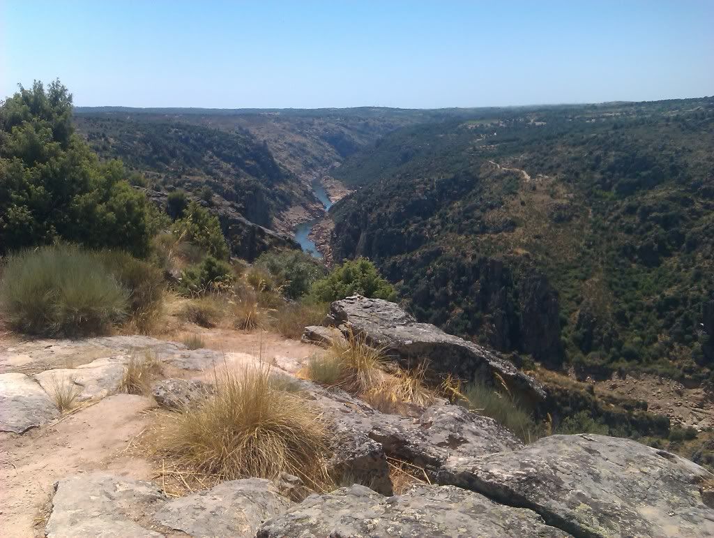 IMAG0094.jpg