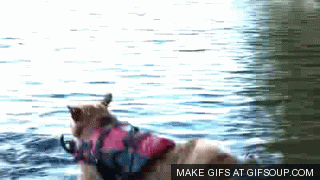 U7X5S.gif